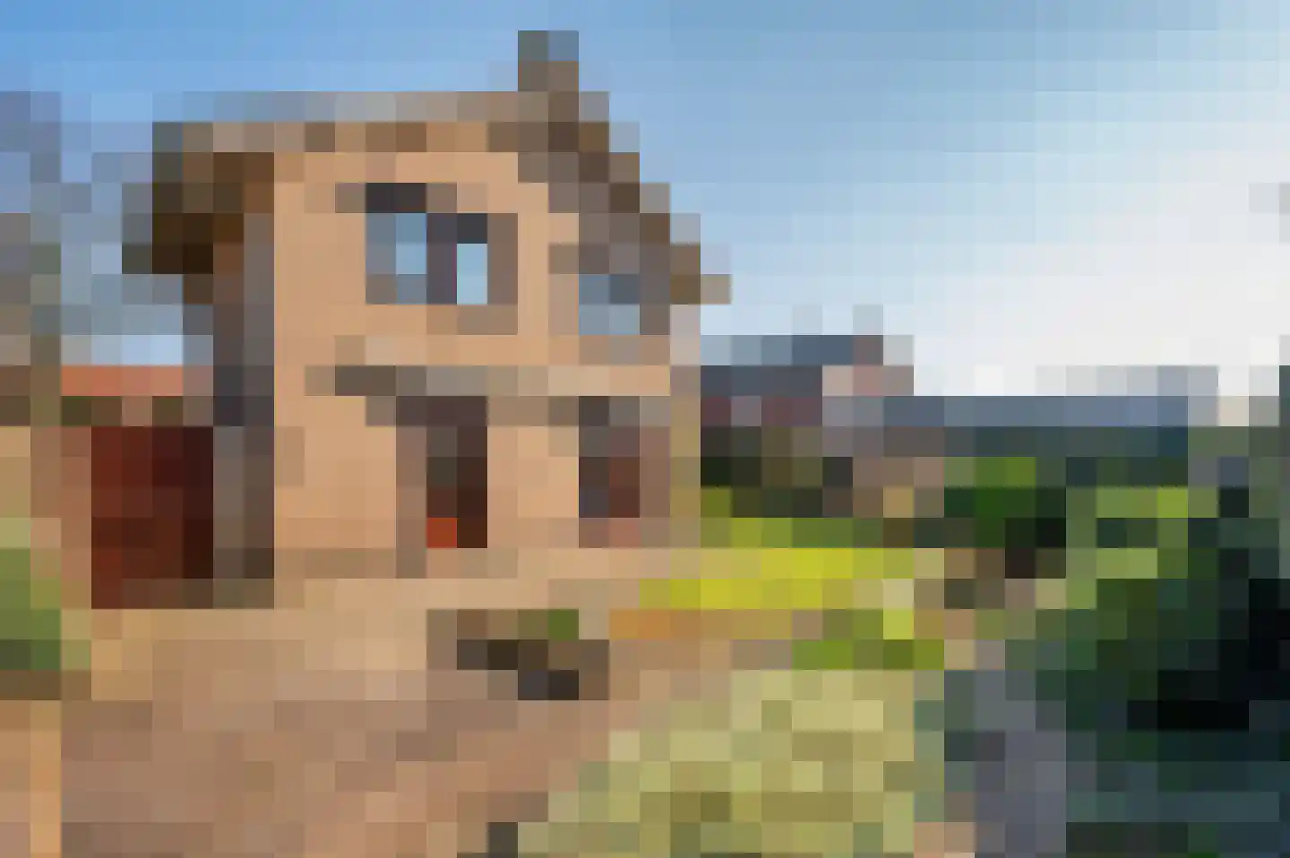 Hogeweg 149 Venlo thumbnail 26