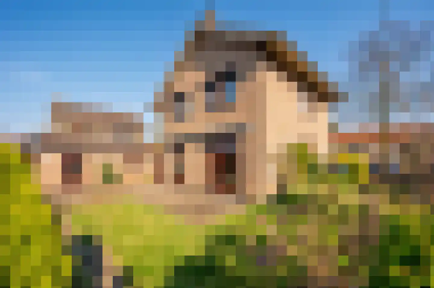 Hogeweg 149 Venlo thumbnail 27