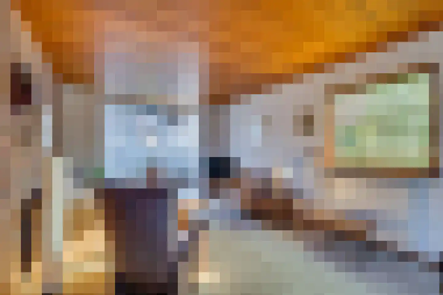 Hogeweg 149 Venlo thumbnail 6