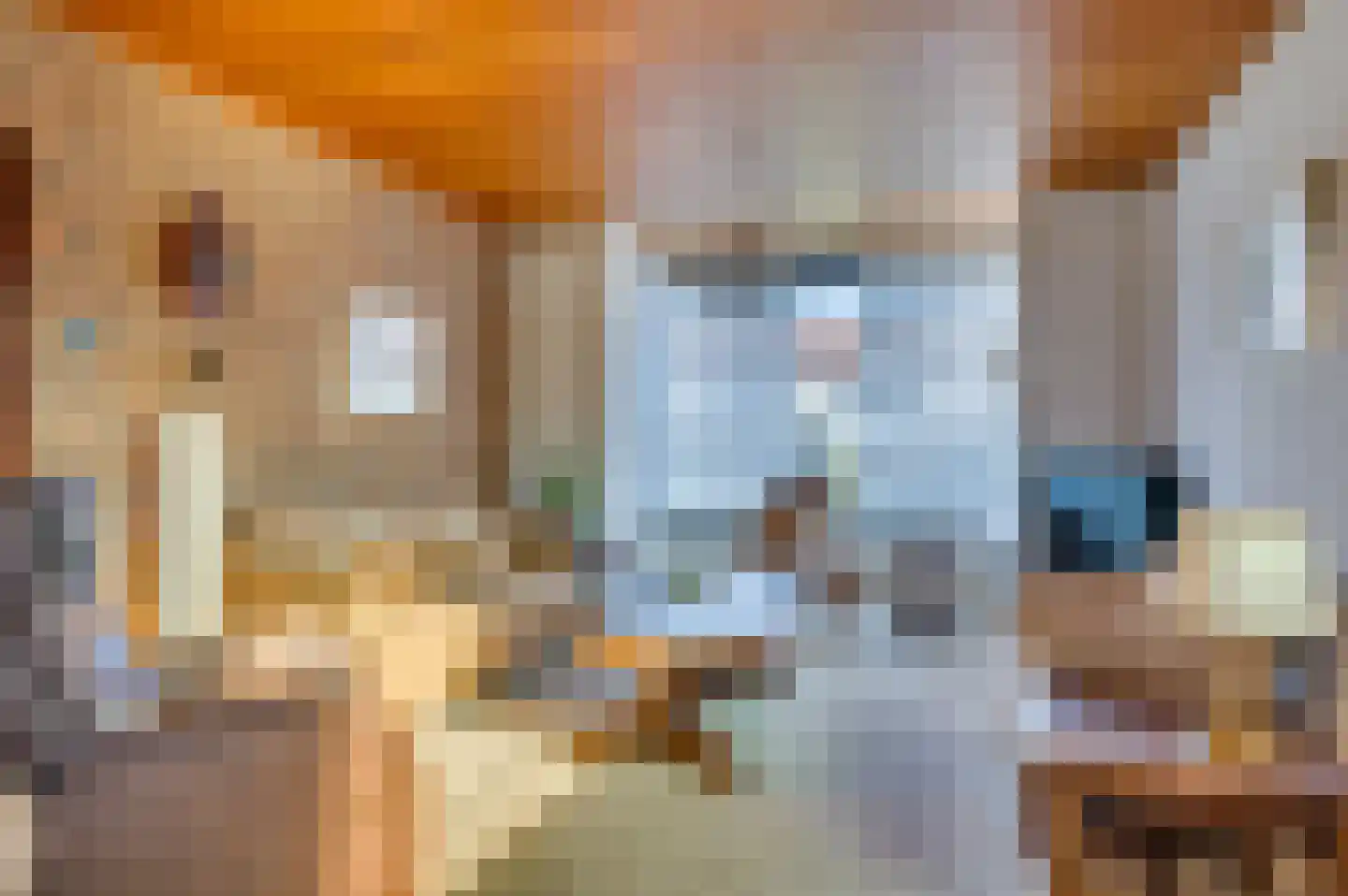 Hogeweg 149 Venlo thumbnail 7