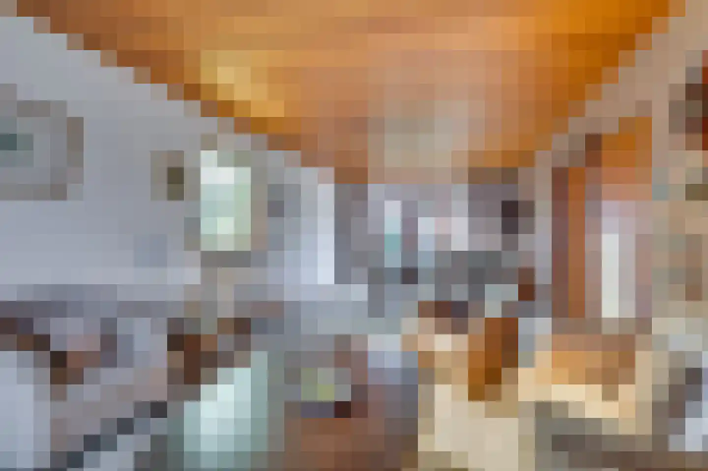 Hogeweg 149 Venlo thumbnail 9