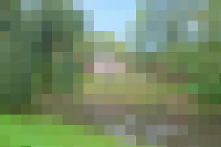 Hogeweg 15 B Amersfoort thumbnail 21