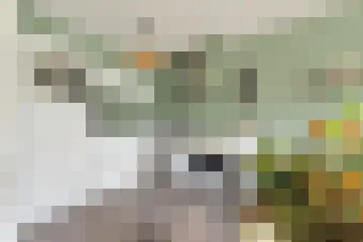 Hogeweg 15 B Amersfoort thumbnail 4