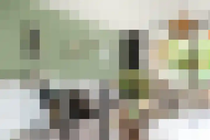Hogeweg 15 B Amersfoort thumbnail 8