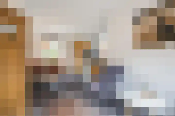 Hogeweg 15 Bathmen thumbnail 15