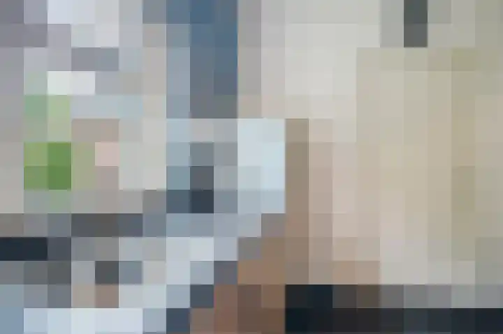 Hogeweg 15 Bathmen thumbnail 21