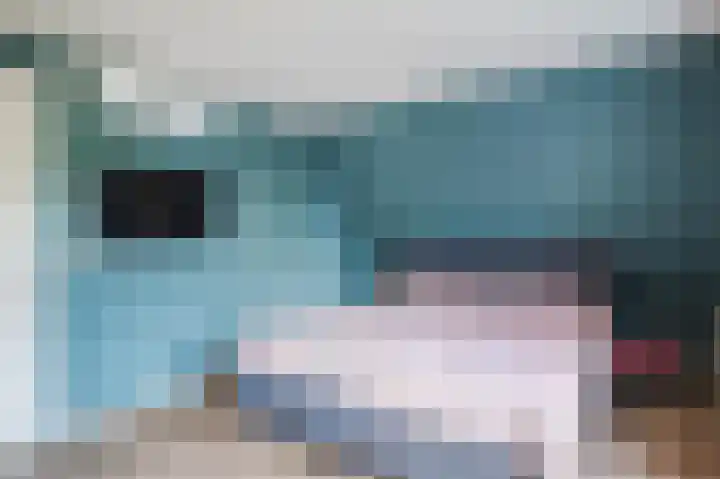 Hogeweg 15 Bathmen thumbnail 33