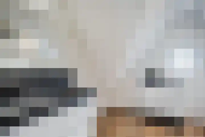 Hogeweg 15 Bathmen thumbnail 41