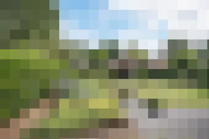 Hogeweg 15 Bathmen thumbnail 47