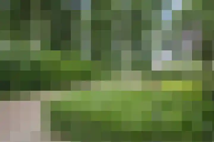 Hogeweg 15 Bathmen thumbnail 53