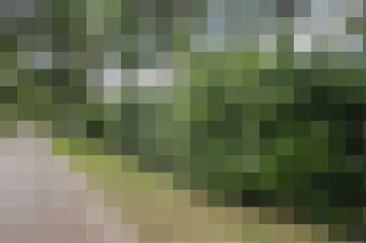 Hogeweg 15 Bathmen thumbnail 54