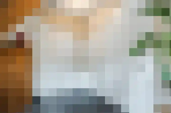 Hogeweg 15 Bathmen thumbnail 6