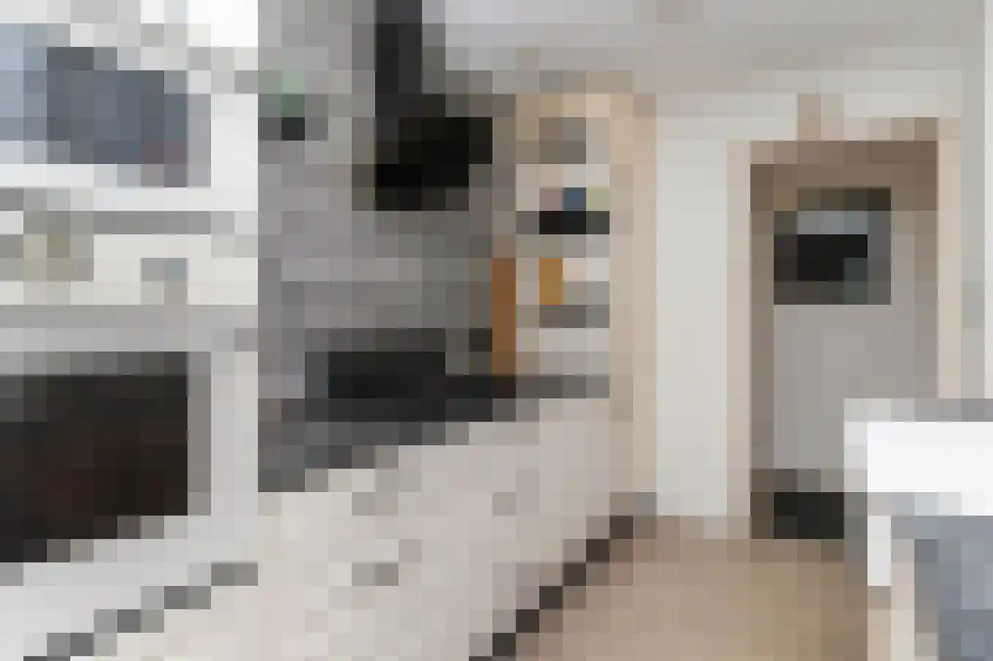 Hogeweg 15 Bussum thumbnail 11