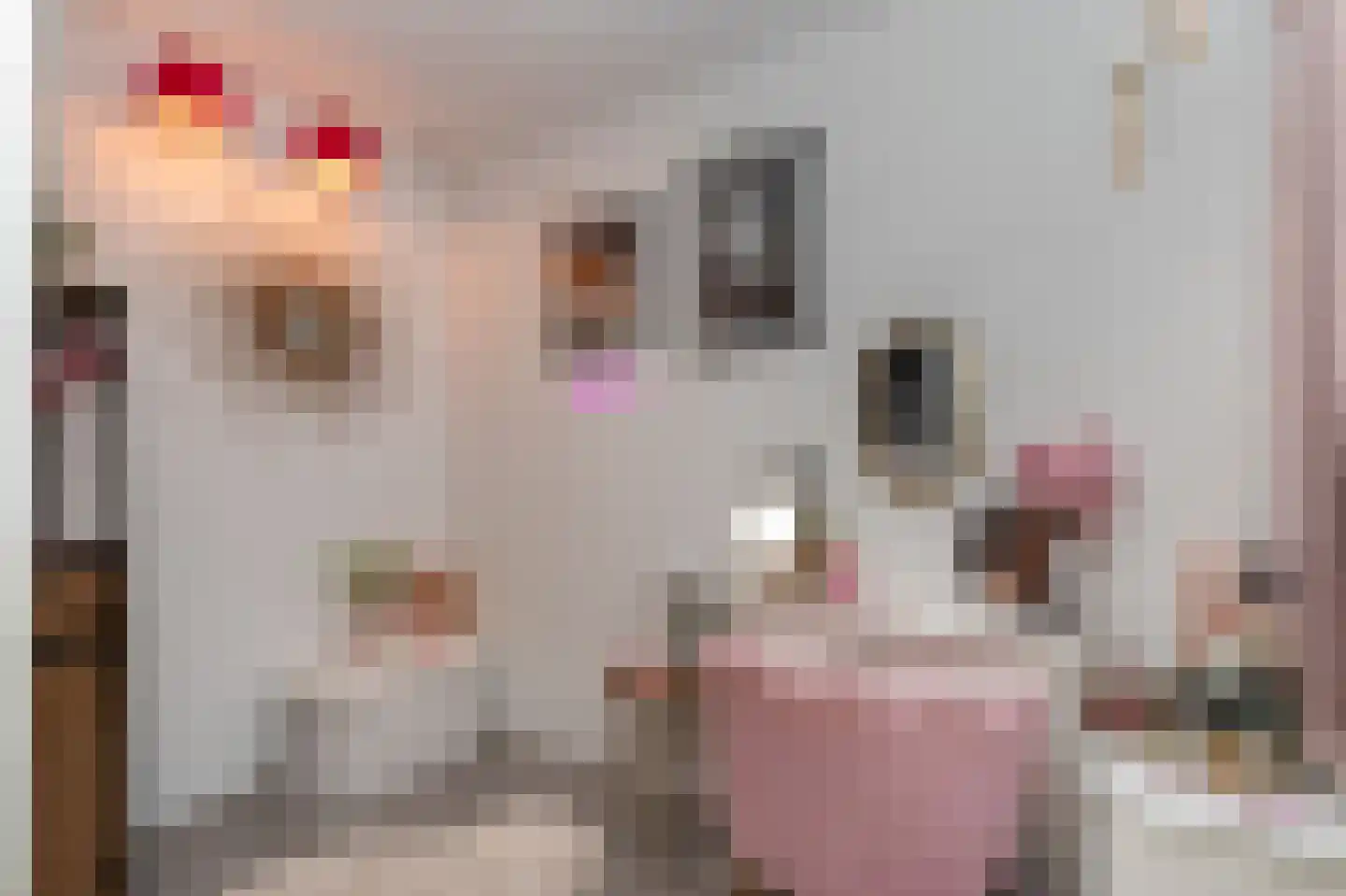 Hogeweg 15 Bussum thumbnail 13