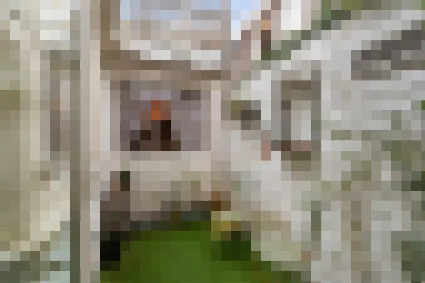 Hogeweg 15 Bussum thumbnail 14
