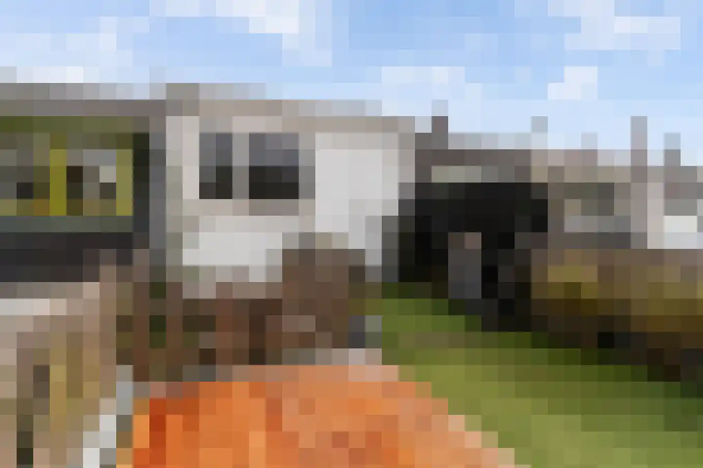 Hogeweg 15 Bussum thumbnail 22