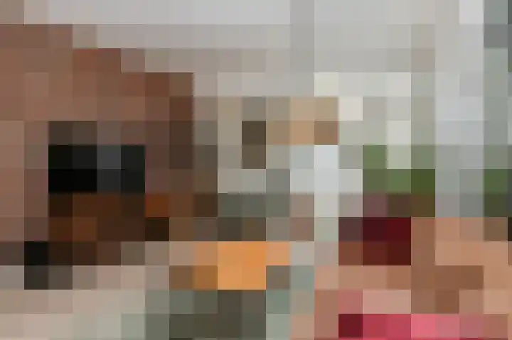 Hogeweg 15 Bussum thumbnail 5