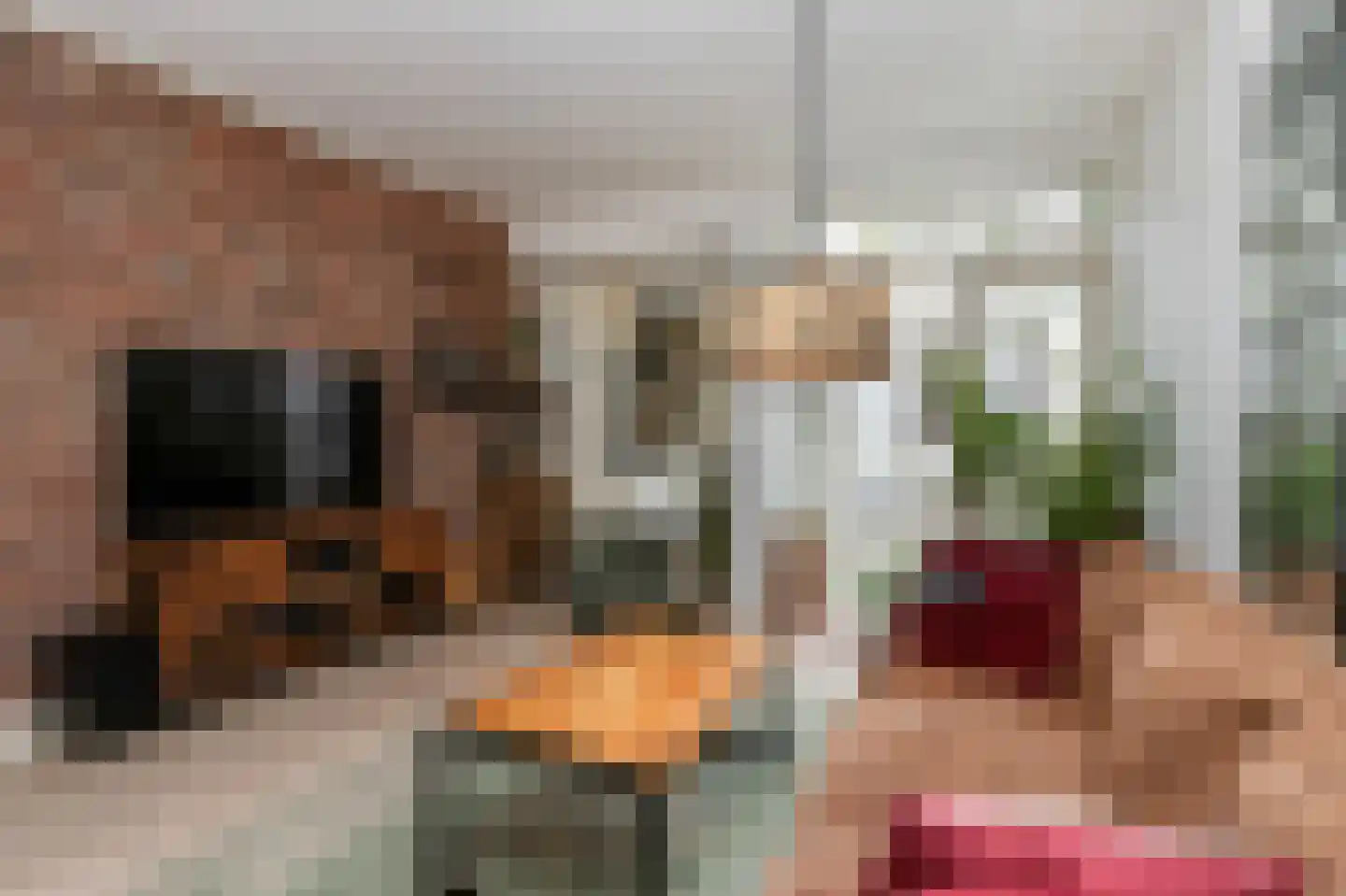 Hogeweg 15 Bussum thumbnail 5