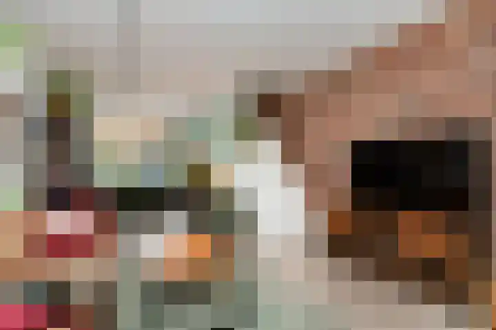 Hogeweg 15 Bussum thumbnail 7