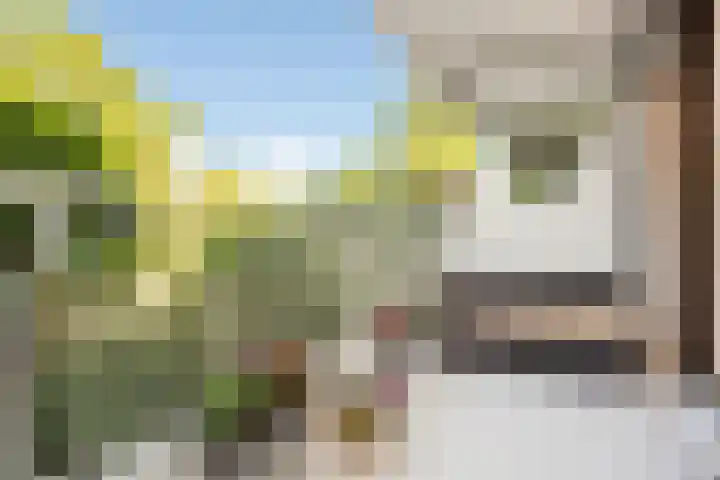 Hogeweg 15 F Amersfoort thumbnail 4