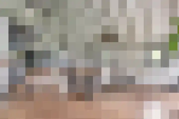 Hogeweg 15 Kamperveen thumbnail 13