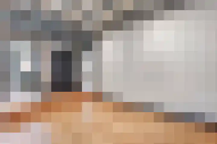 Hogeweg 15 Kamperveen thumbnail 19