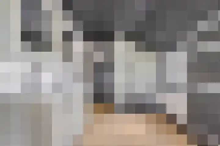 Hogeweg 15 Kamperveen thumbnail 25
