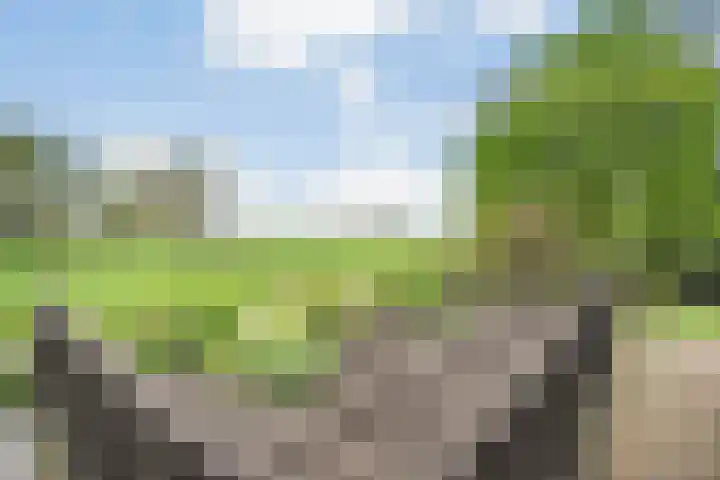 Hogeweg 15 Kamperveen thumbnail 39