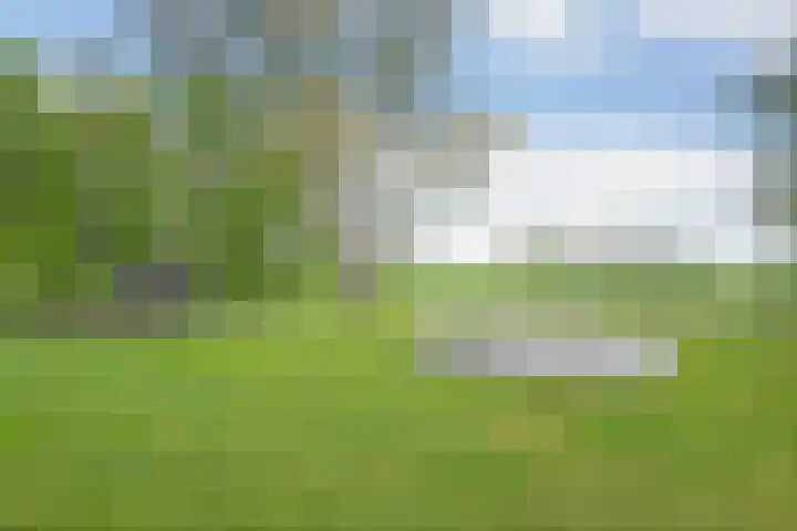 Hogeweg 15 Kamperveen thumbnail 48