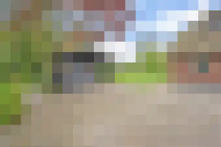 Hogeweg 15 Kamperveen thumbnail 51
