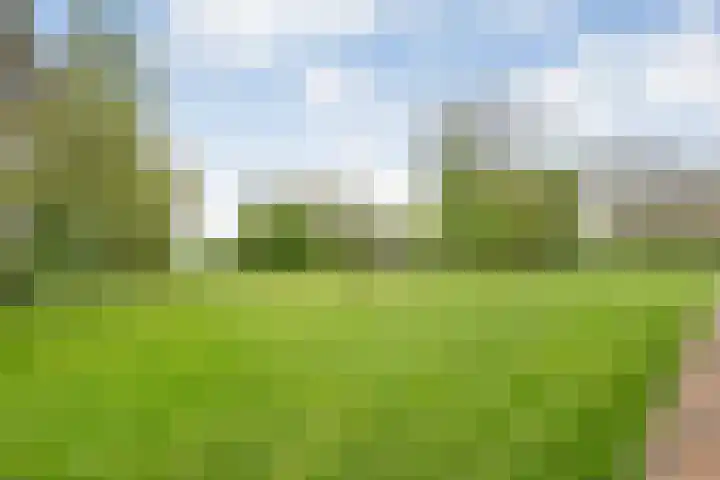 Hogeweg 15 Kamperveen thumbnail 55