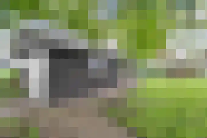 Hogeweg 15 Kamperveen thumbnail 57