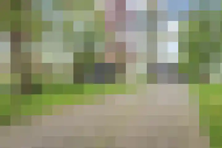 Hogeweg 15 Kamperveen thumbnail 66