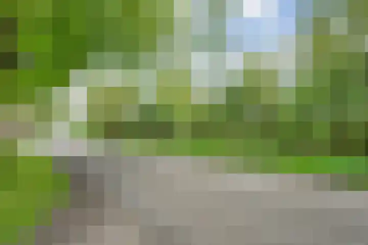 Hogeweg 15 Kamperveen thumbnail 68