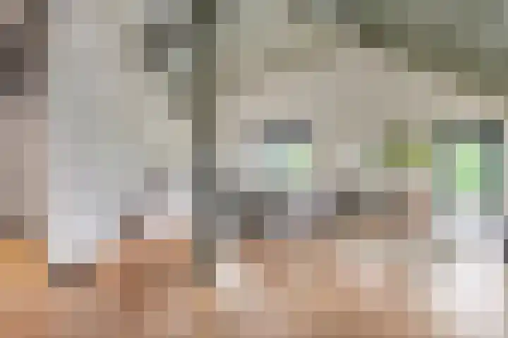 Hogeweg 15 Kamperveen thumbnail 8
