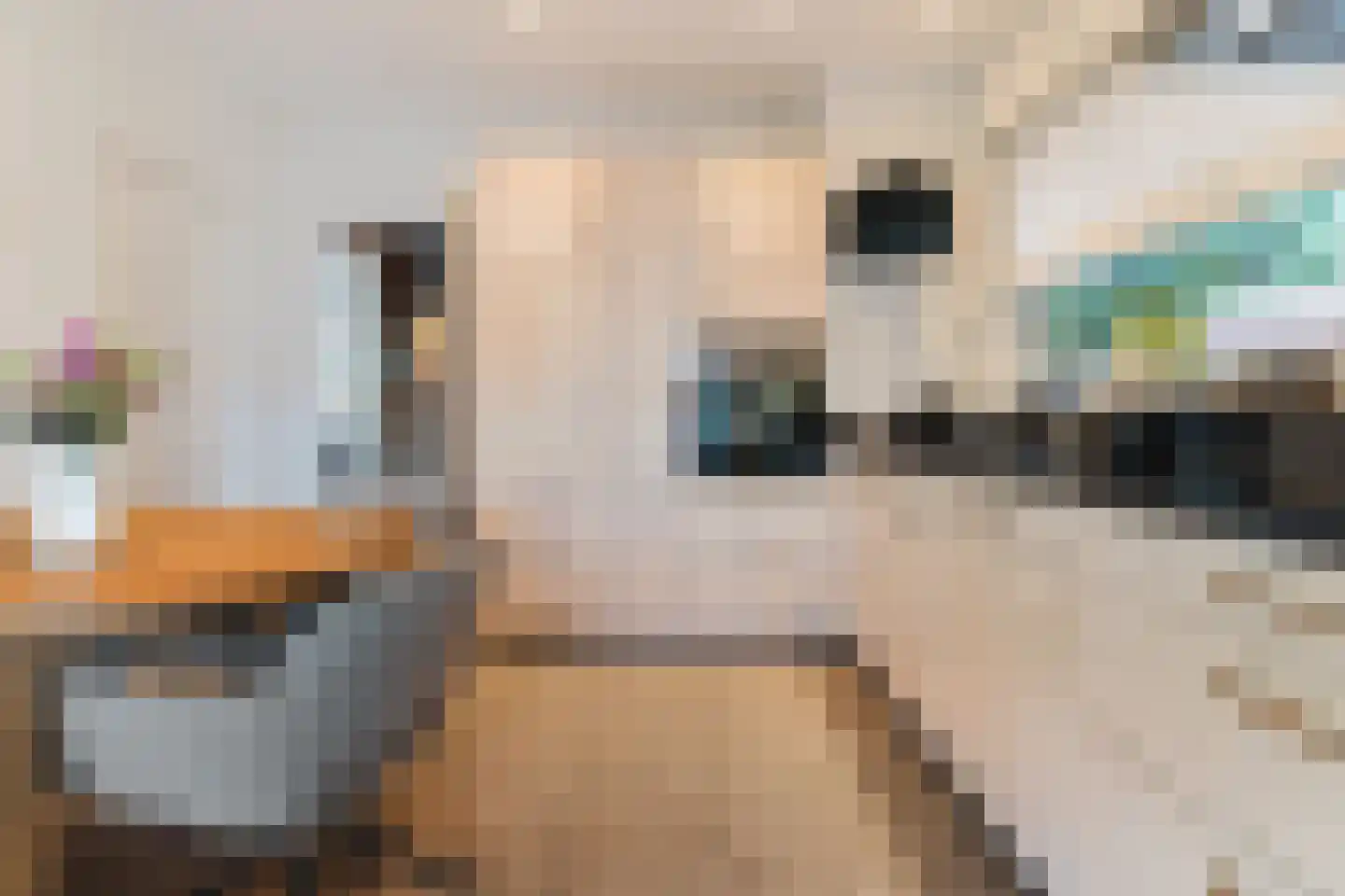 Hogeweg 15 Losser thumbnail 11