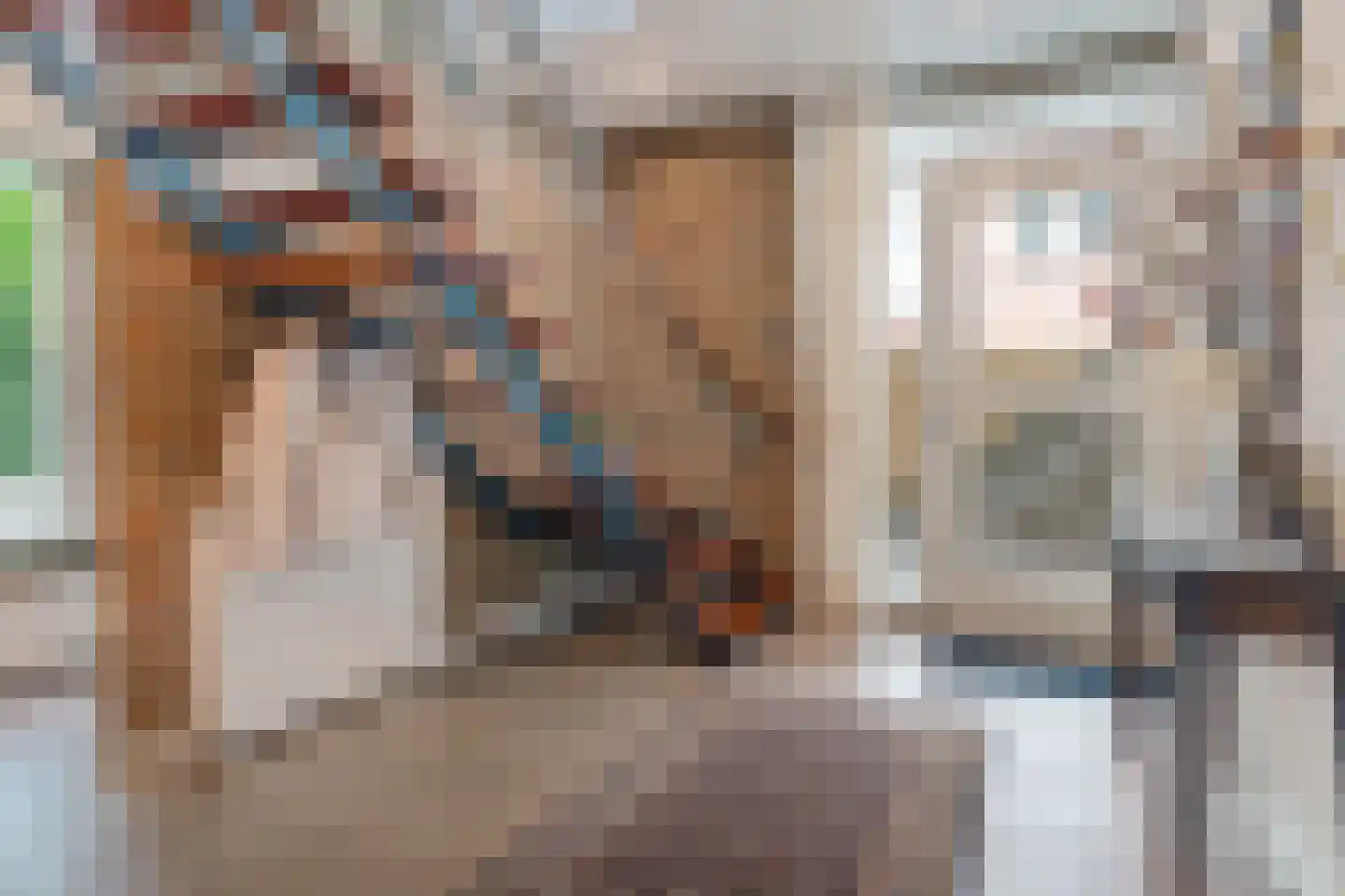 Hogeweg 15 Losser thumbnail 13