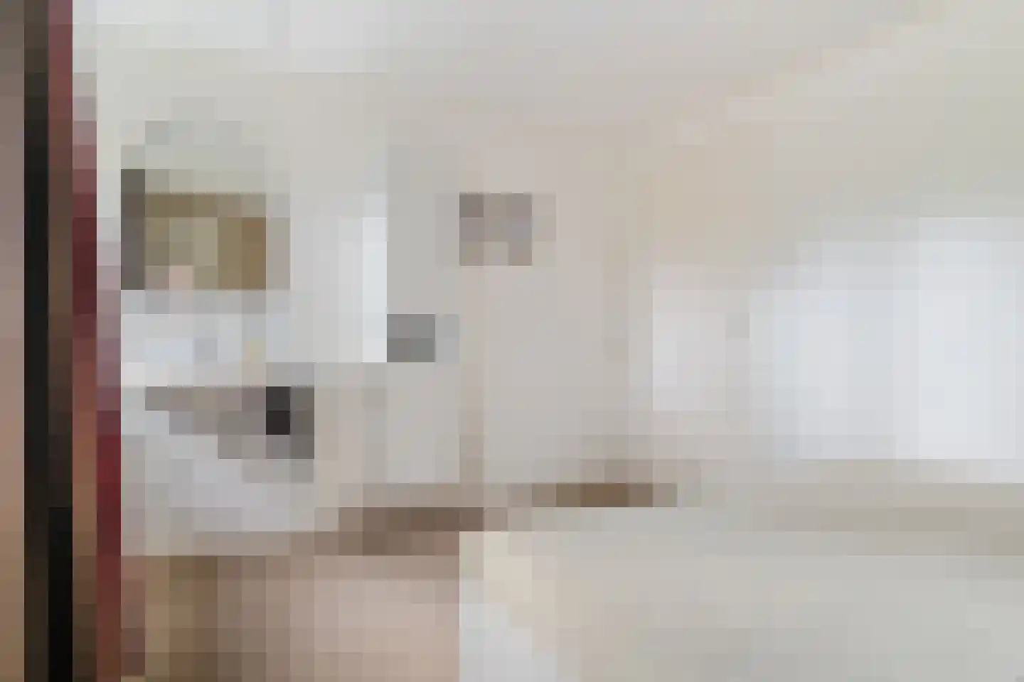 Hogeweg 15 Losser thumbnail 15