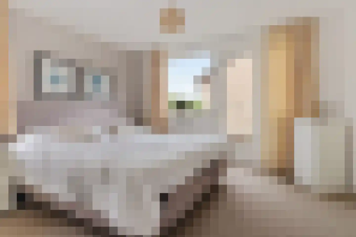 Hogeweg 15 Losser thumbnail 16