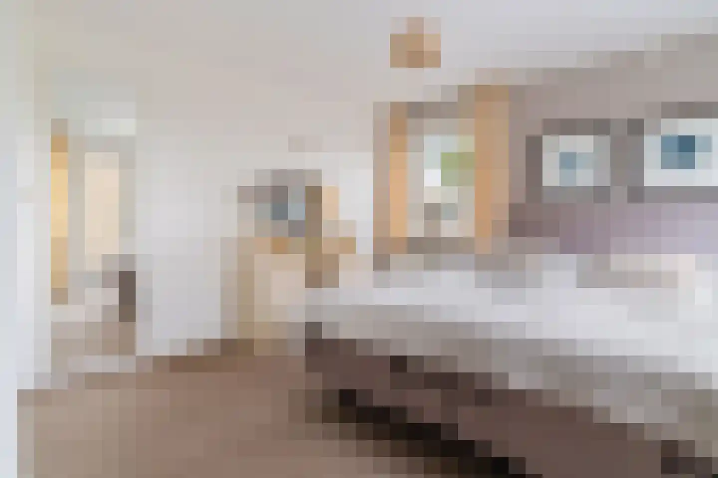 Hogeweg 15 Losser thumbnail 17