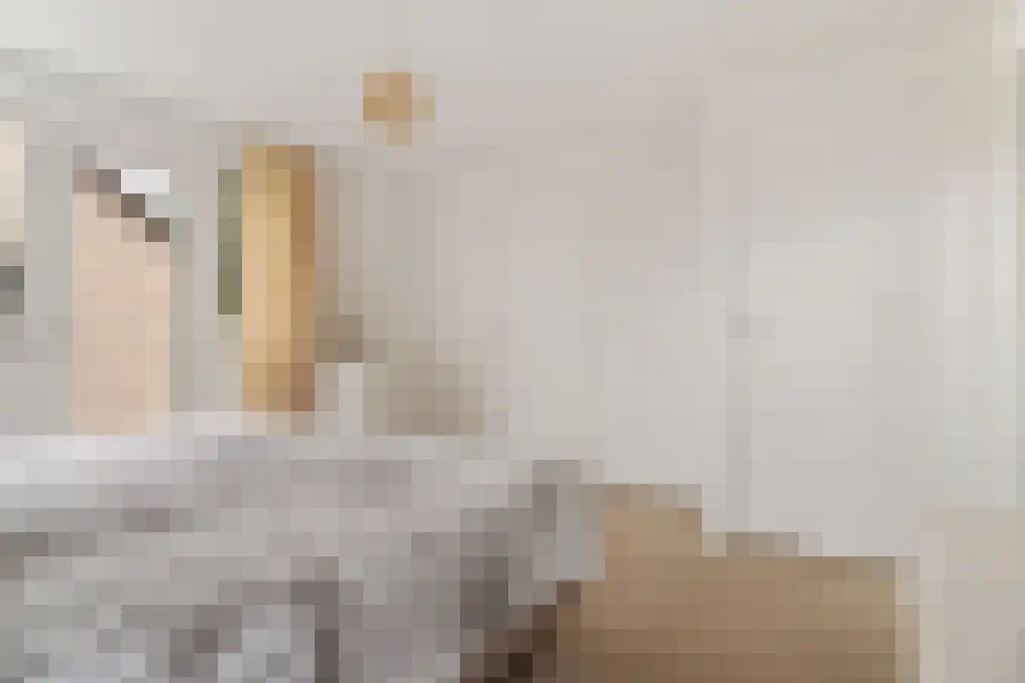 Hogeweg 15 Losser thumbnail 18