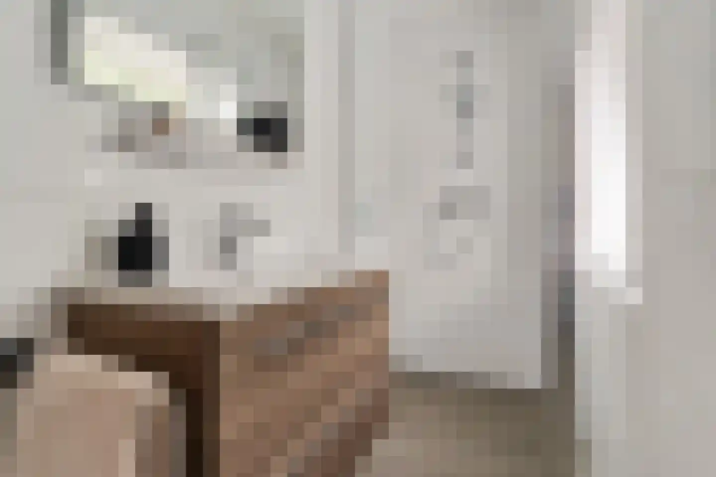 Hogeweg 15 Losser thumbnail 21