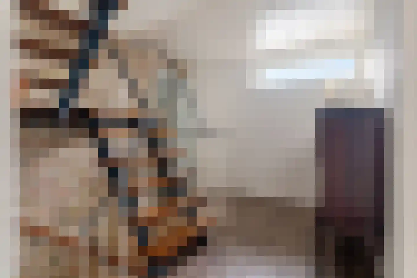 Hogeweg 15 Losser thumbnail 23