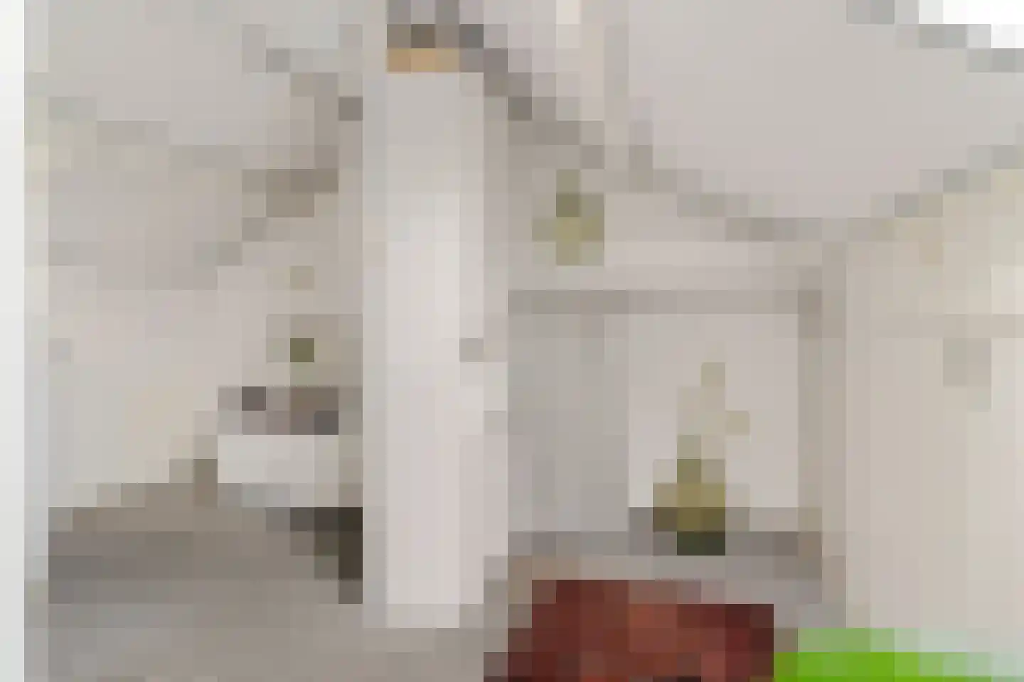 Hogeweg 15 Losser thumbnail 26