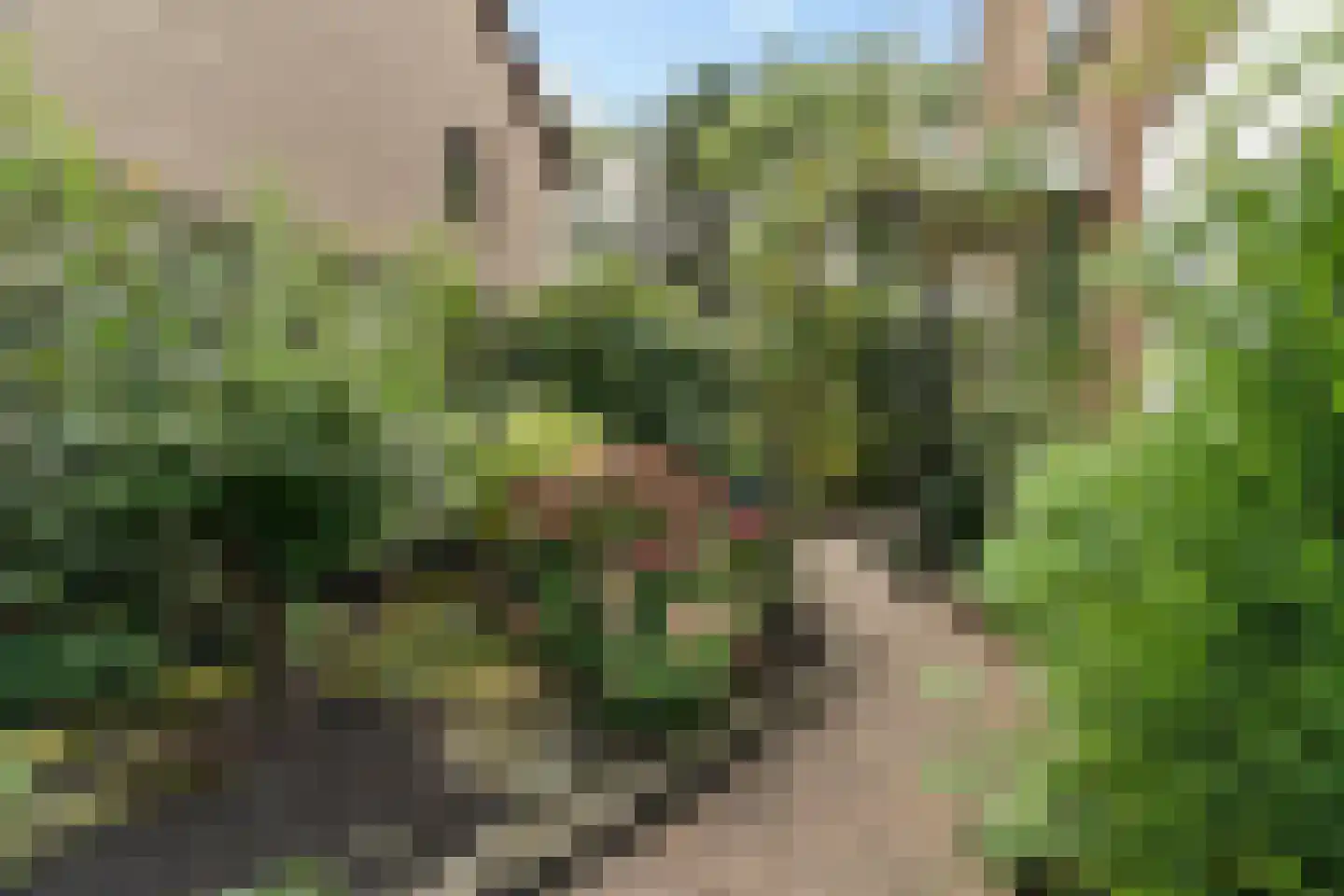 Hogeweg 15 Losser thumbnail 36