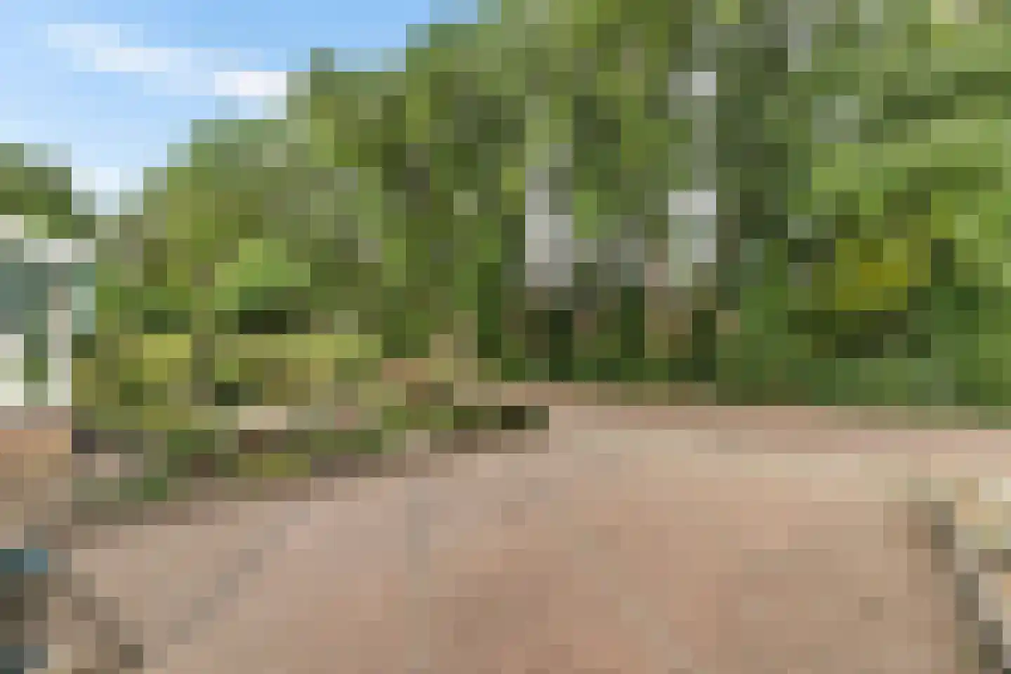 Hogeweg 15 Losser thumbnail 37