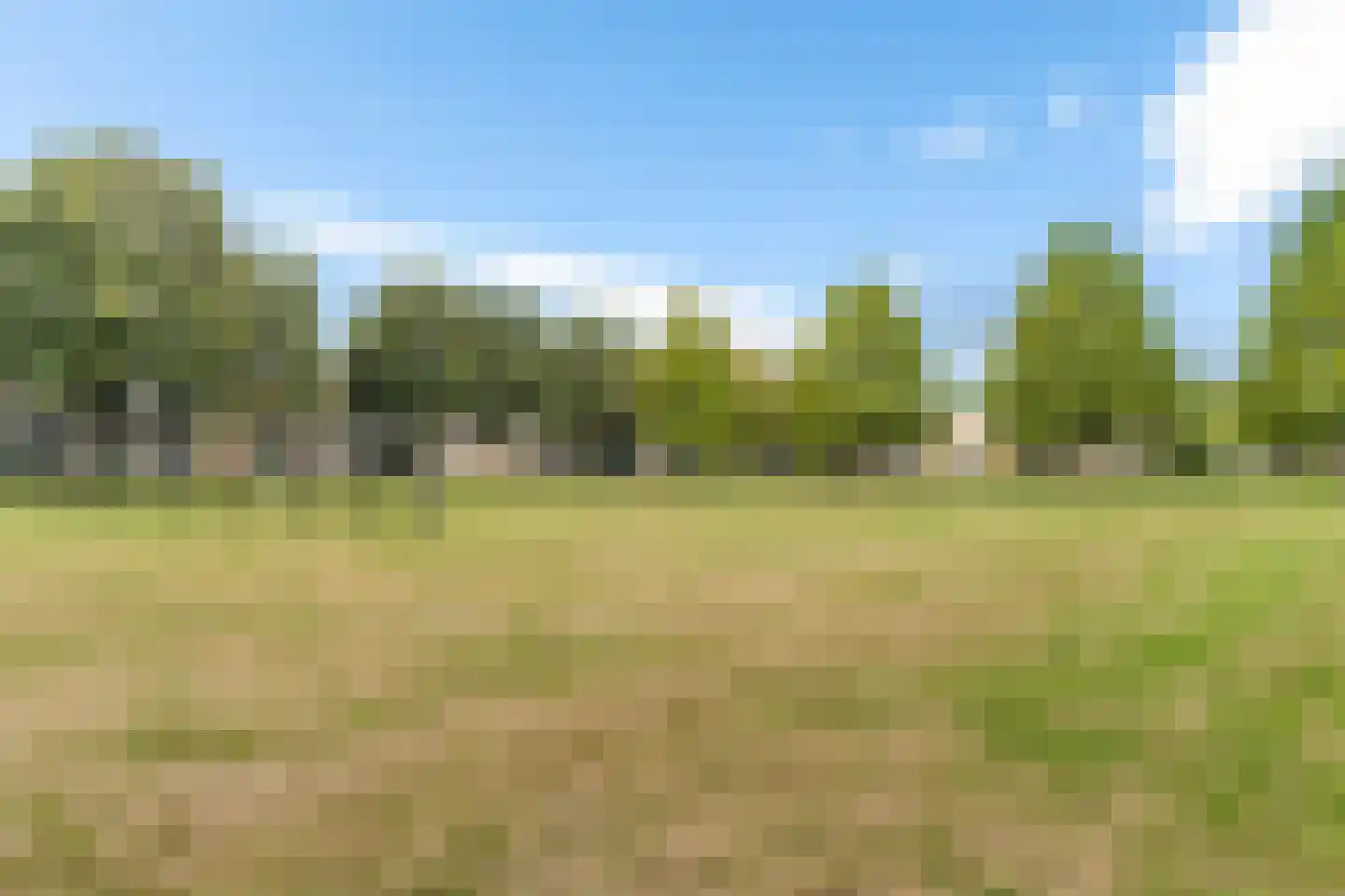 Hogeweg 15 Losser thumbnail 42