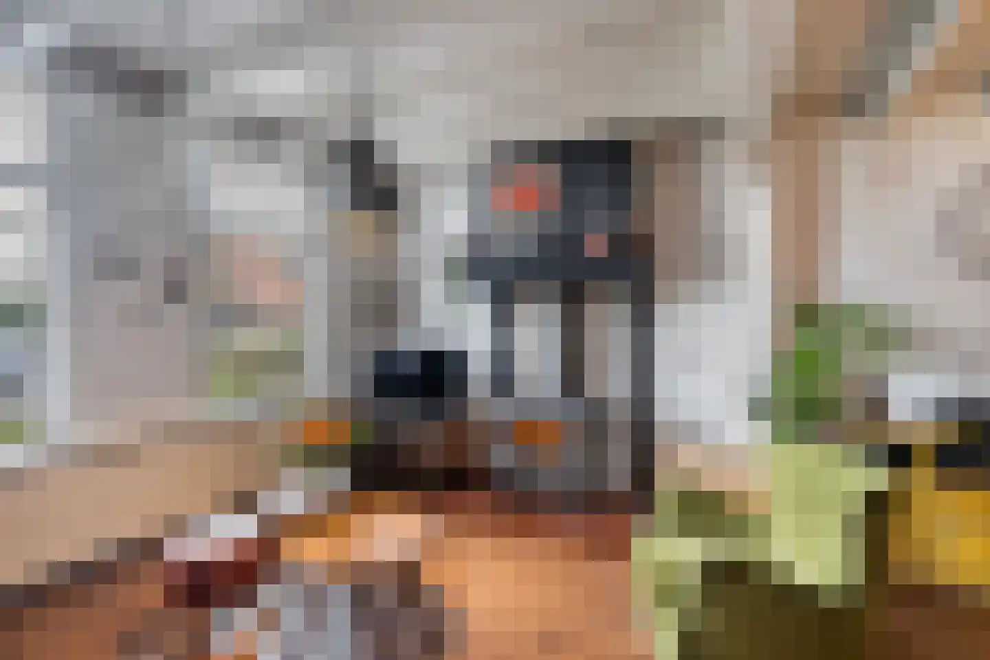Hogeweg 15 Poortvliet thumbnail 11