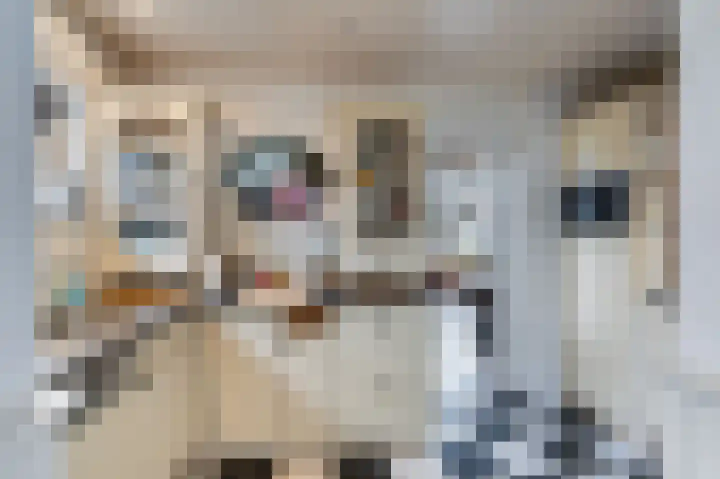 Hogeweg 15 Poortvliet thumbnail 17