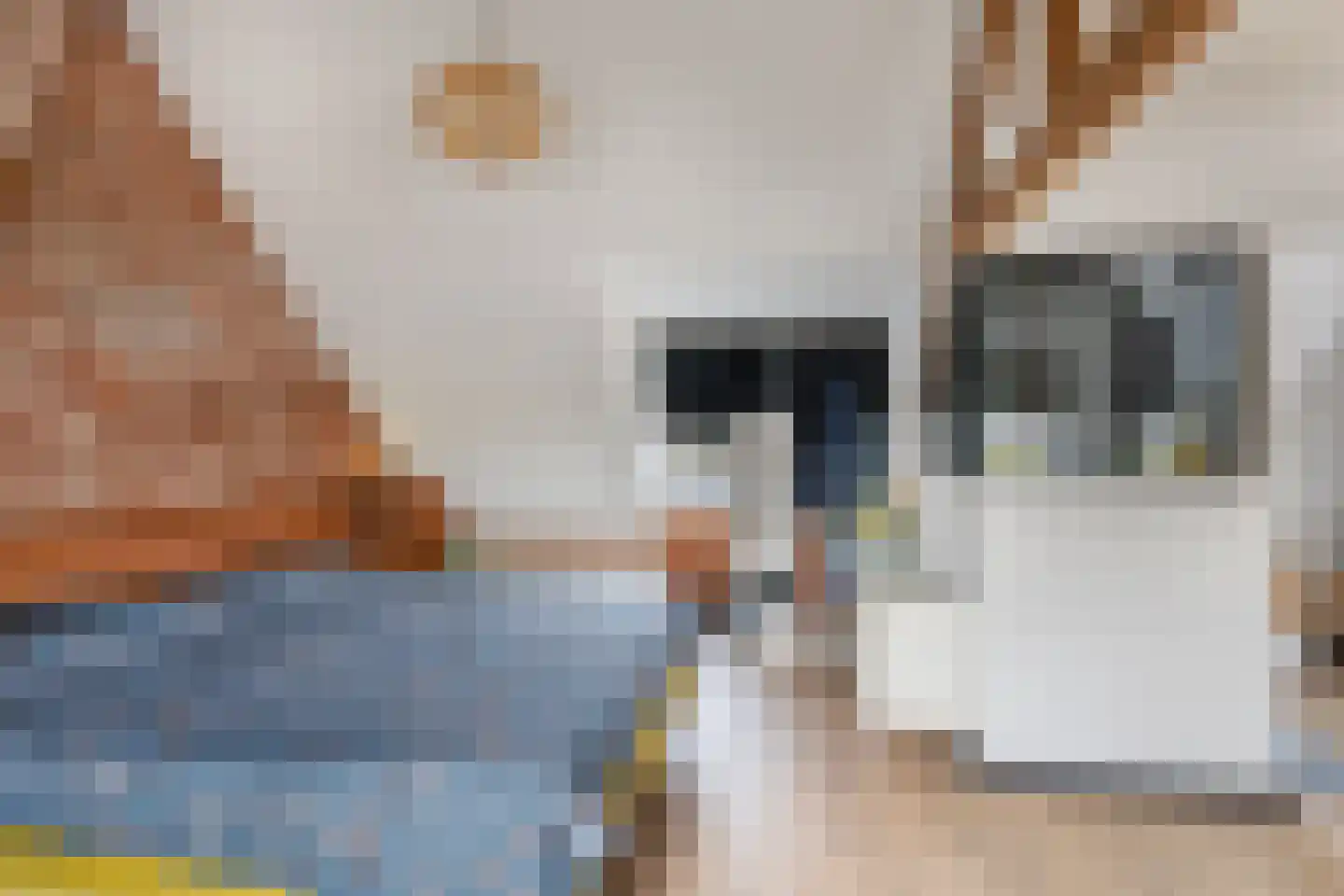 Hogeweg 15 Poortvliet thumbnail 27